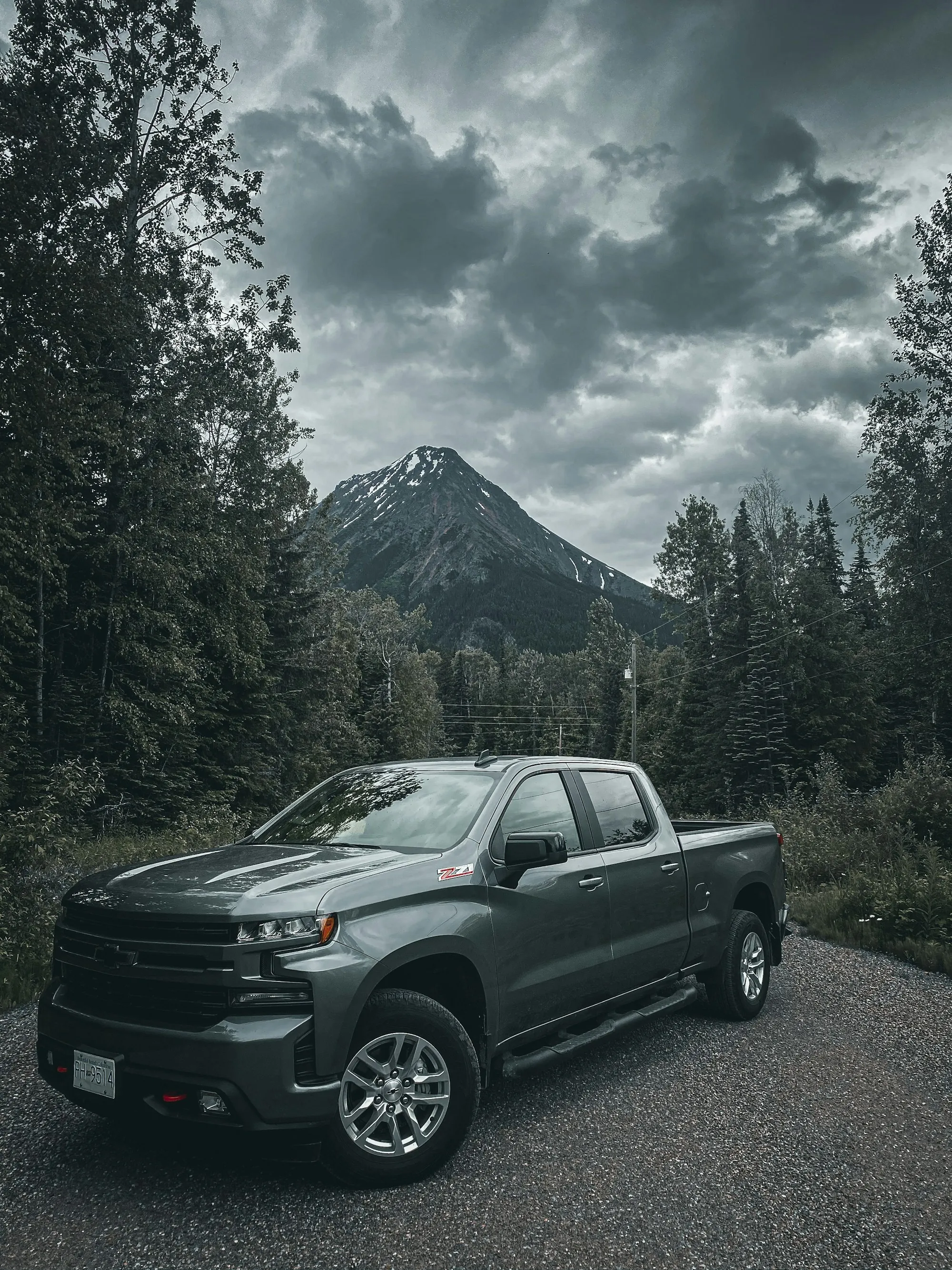 Pickup truck parked among pine trees on a mountain road